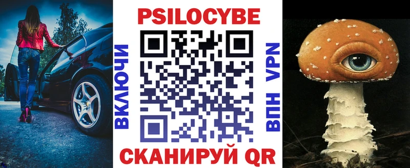 darknet официальный сайт  Палласовка  Псилоцибиновые грибы Psilocybe 